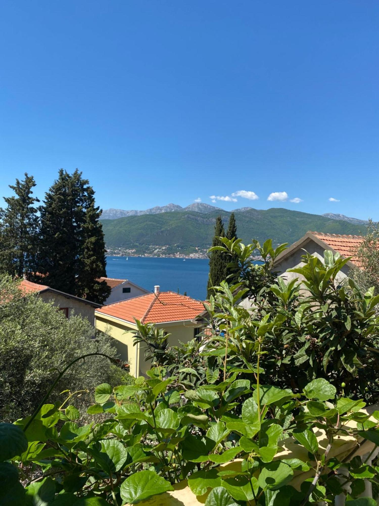 Apartments Arina Krasići Dış mekan fotoğraf