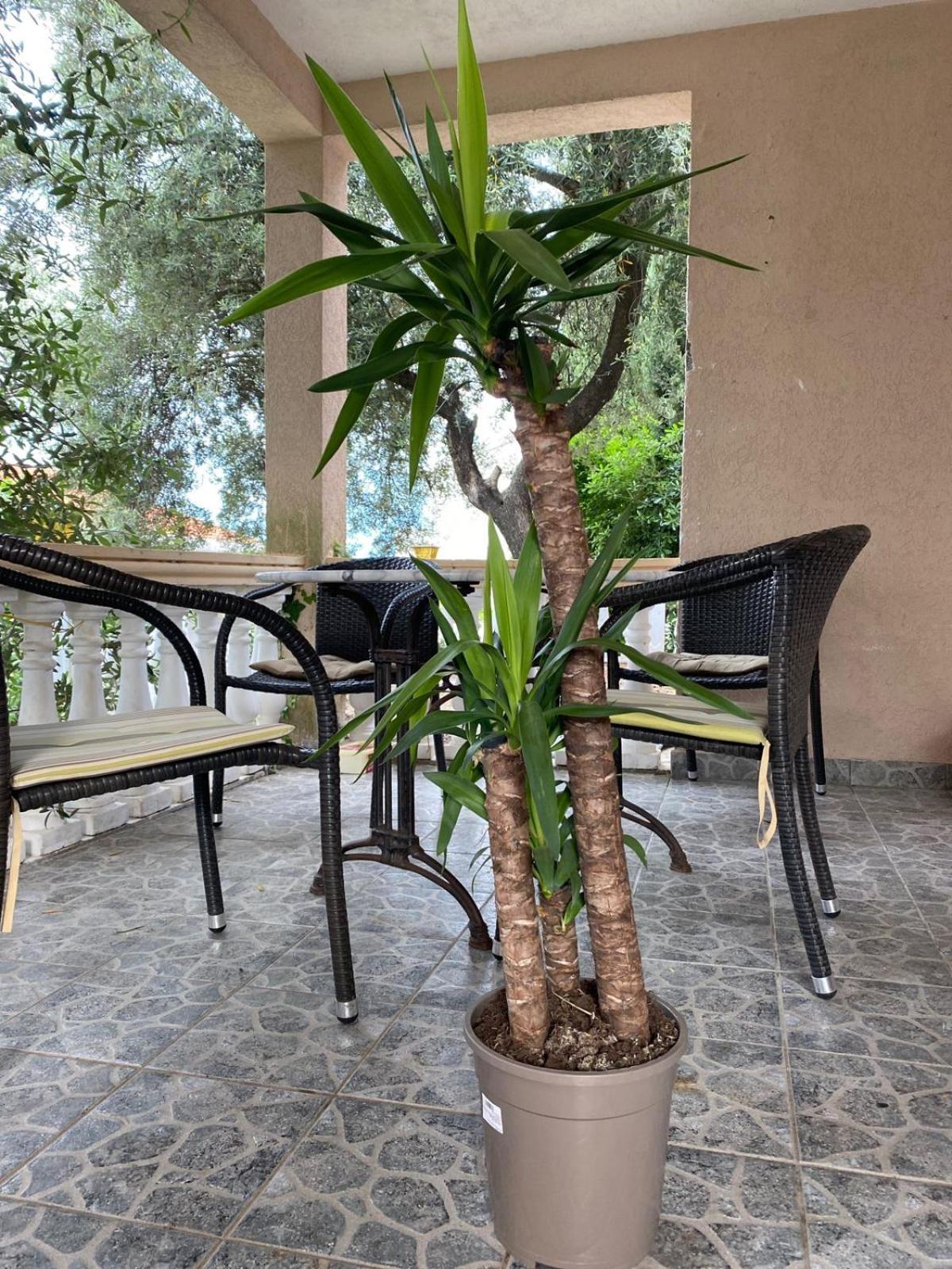 Apartments Arina Krasići Dış mekan fotoğraf
