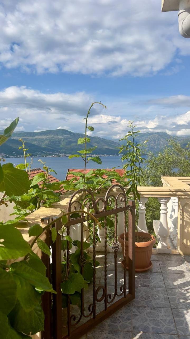 Apartments Arina Krasići Dış mekan fotoğraf