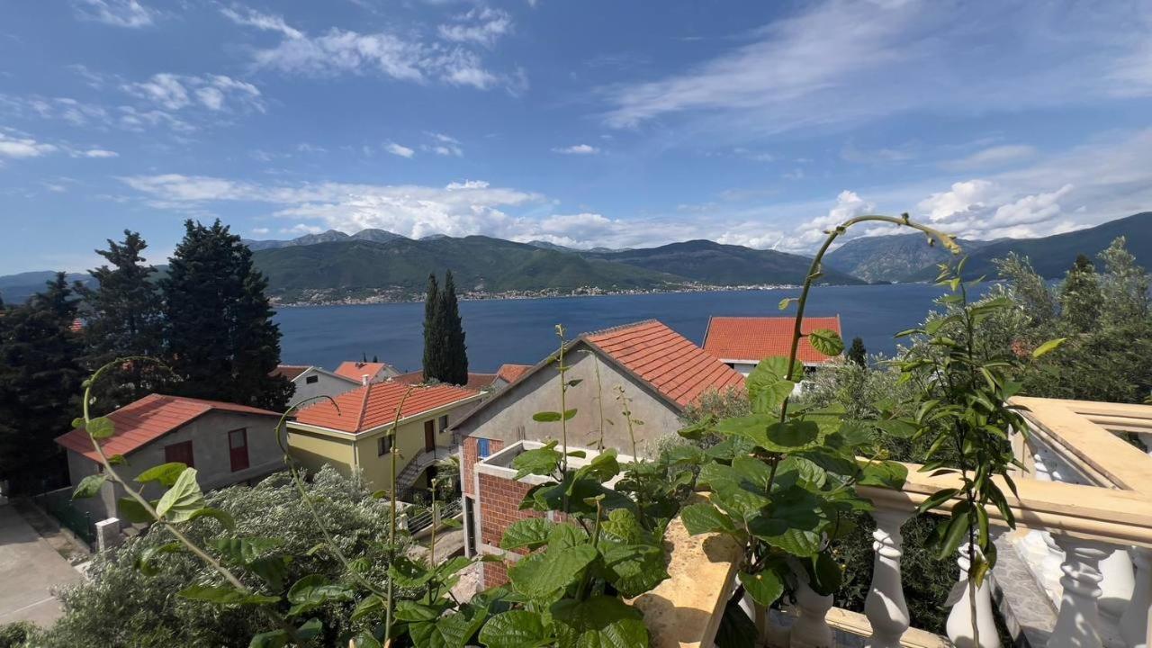 Apartments Arina Krasići Dış mekan fotoğraf