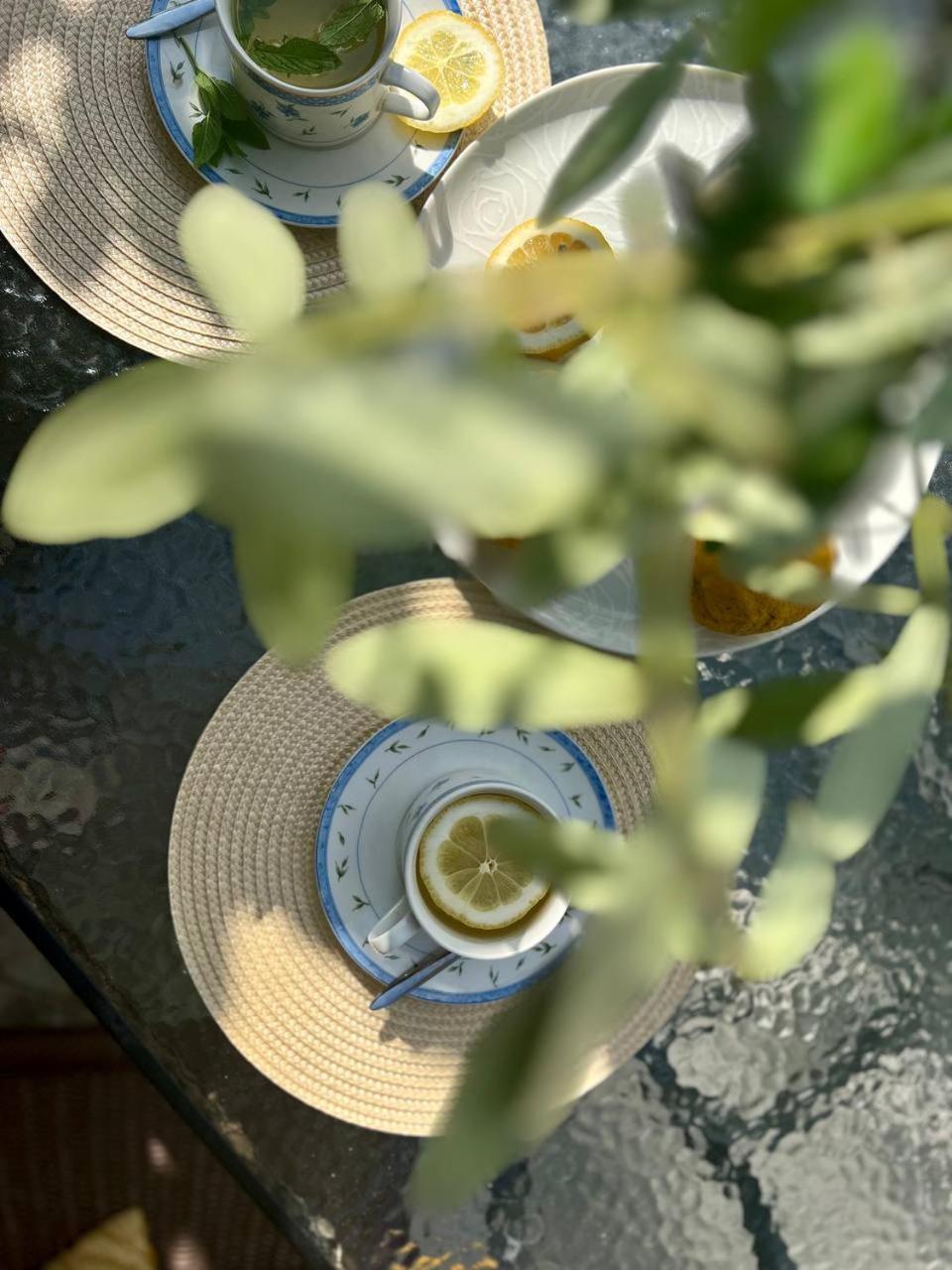Apartments Arina Krasići Dış mekan fotoğraf